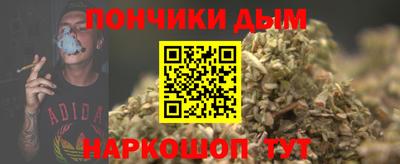 apvp Камышлов