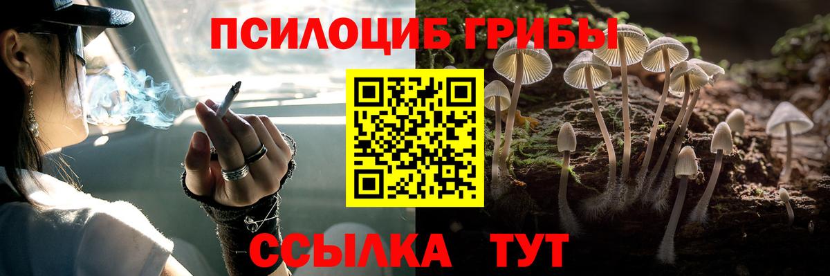 Кушва  Галлюциногенные грибы Psilocybe  Псилоцибиновые грибы GOLDEN TEACHER  Вход с VPN 